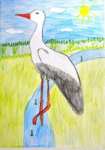 Horánska Paulína.jpg